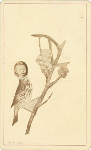 Marius, Paris Photomontage  c. 1865 albumen print © private collection